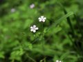 HM_MG_4635