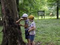 HM_MG_4664