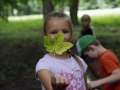 HM_MG_4672