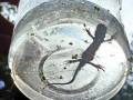 IMG-20230721-WA0003