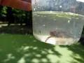 IMG-20230721-WA0018