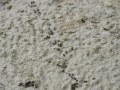 295089628_3193242437592530_2230017692845557049_n