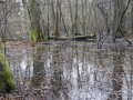MG_3506