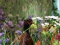 IMG_4767