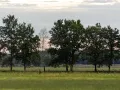 0O5A3794