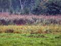 HMDSC_7820