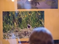 1559IMG_0181