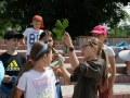 IMG_4531