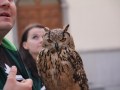 IMG_5849