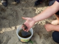DSCF1594.JPG