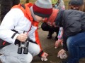 DSCF4581_02_22_2016