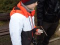DSCF4584_02_22_2016