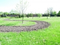 DSCF1208.JPG