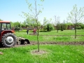 DSCF1212.JPG