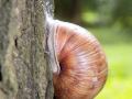 DSCF7990