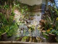 1530IMG_9087