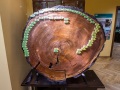 1532IMG_9101