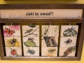 1539IMG_9134