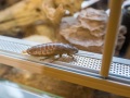 1540IMG_9143