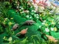 1540IMG_9156