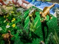 1540IMG_9157