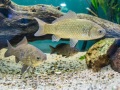 1541IMG_9167