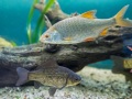 1541IMG_9174