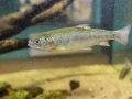 1541IMG_9178