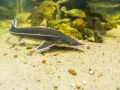 1542IMG_9187