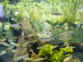1542IMG_9198