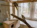 1543IMG_9224