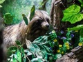 1543IMG_9228