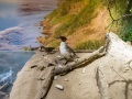 1543IMG_9230