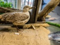 1543IMG_9233