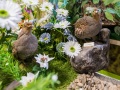 1543IMG_9235