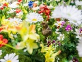 1543IMG_9237