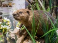 1543IMG_9240