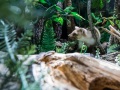 1544IMG_9247
