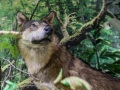 1544IMG_9249