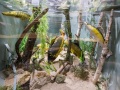 1544IMG_9253