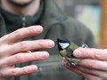 IMG_7588