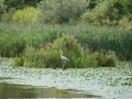 DSCF7752