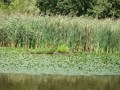 DSCF7754