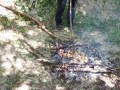 DSCF7030