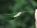 IMG_2635