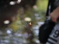 IMG_2646