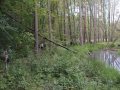 IMG_2676