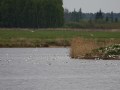 IMG_7765